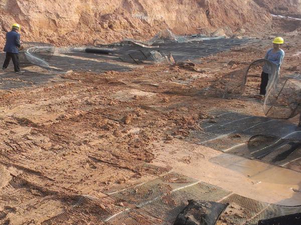 6b341536-64f9-490d-b799-6293a4ed3a2b